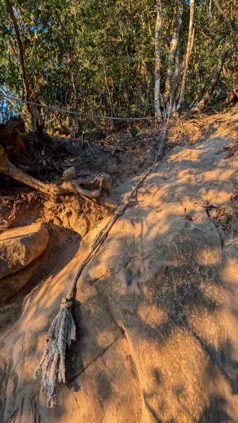 大橫屏山步道2977339