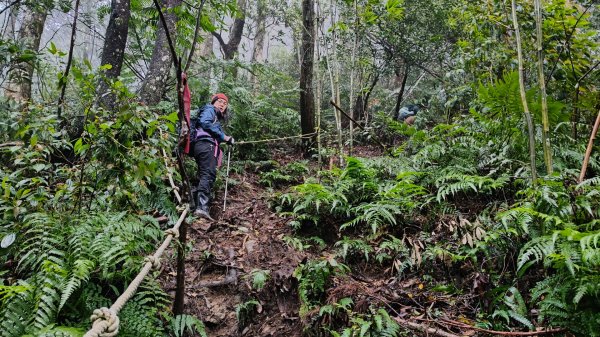 金牌縱走202502082709500