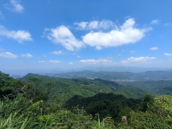 2026.05.31－二格山步道3071426