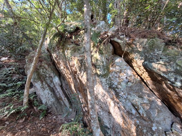 谷關蝴蝶谷瀑布202511202940793