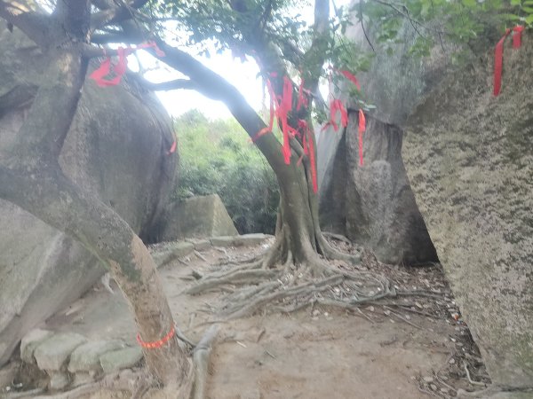 漳州雲嚴洞風景區2427366