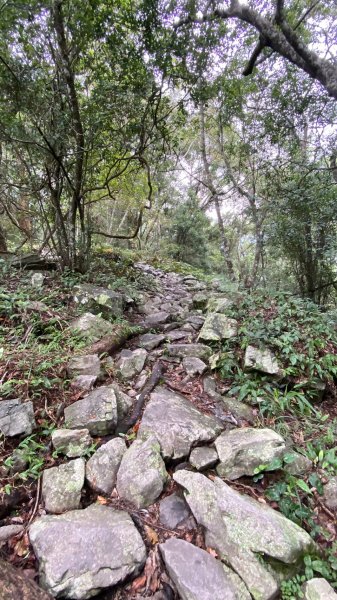 坡很陡的波津加山(老四)1834968