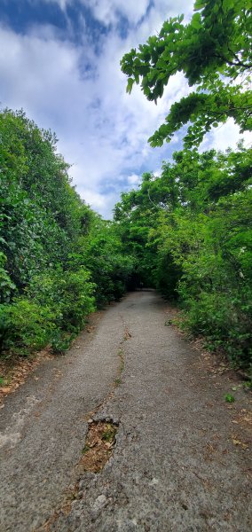 2024-05-18北柴山登山步道2507865