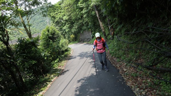 大粗坑古道連走小粗坑古道O型登山健行趣(步道)2160239