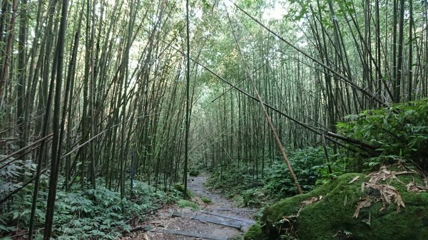 馬拉邦山上湖登山口O型走1069021