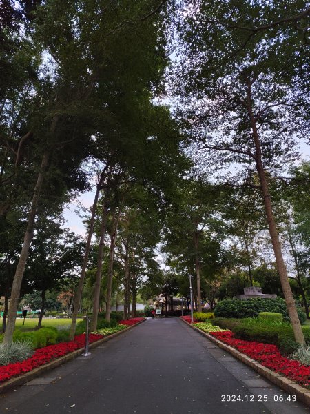 2-1 大安森林公園→蘇澳服務區→朝陽步道→南澳龜山→南澳朝陽漁港→天后宮2678099