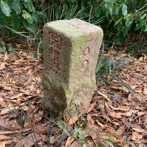 20250404屏東北獅子頭山-霧里乙山2757390