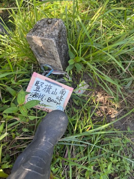 2025-08-30 豎旗山西北稜上-豎旗山-烏山古道西段下2874134