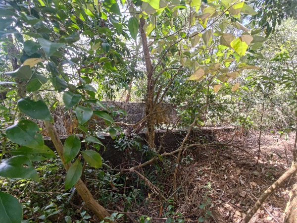 盆貿里山三盆連走2749586