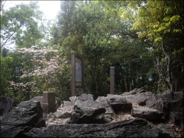 【台中】十文溪山、屋我尾山(麗陽線)