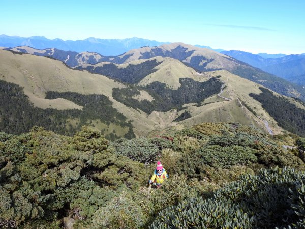 悠閒漫遊 合歡東峰1960487