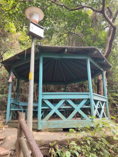 微笑山線：【大棟山系】百年大溶樹的2937018