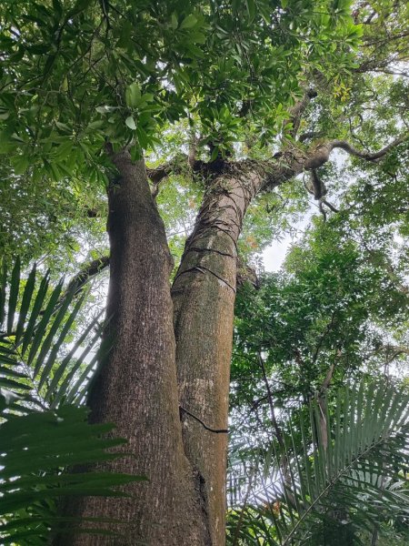 微笑山線之望月亭段2849019