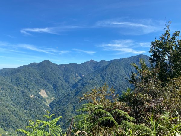 谷關七熊-東卯山2609336