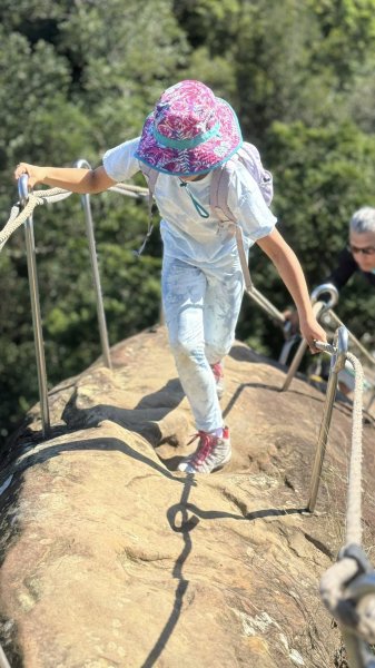 20251116五寮尖2942244