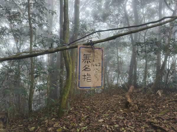 五指山走春3009580