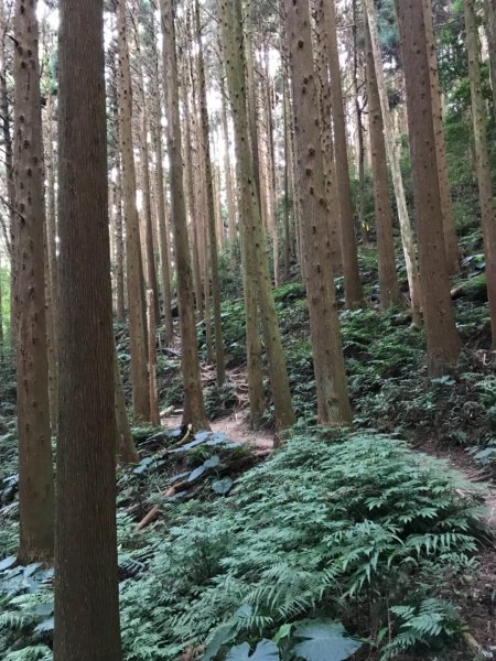 加里山鹿野線461347