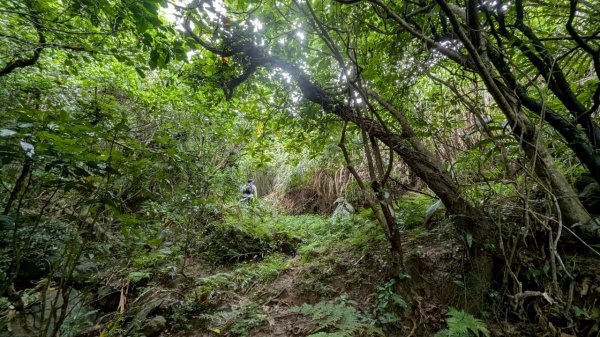 114.06.08門牙岩之O型2806629