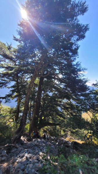 玉山前峰2402078