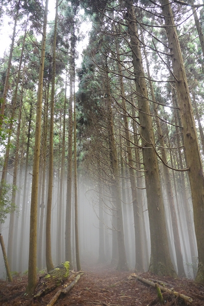 【美哉台灣】 高台山連走島田山