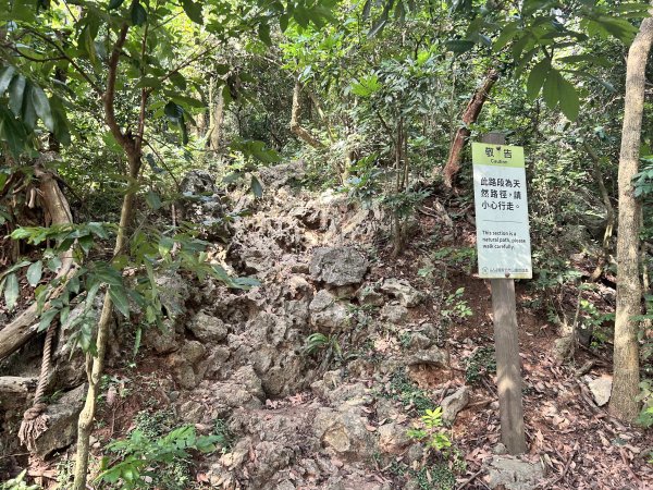 北柴山登山步道2909291