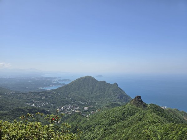 20260426 新北金瓜石半屏山無耳茶壺山3050527