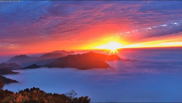 阿里山雲瀑&雲海/富士山直播即時視訊1975842