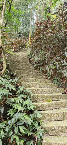 2026-0313 烘爐地步道-南勢角山-紫竹寺3015899