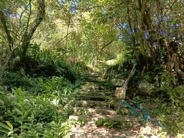 汐止區白雲古道+白雲寺O型2911975