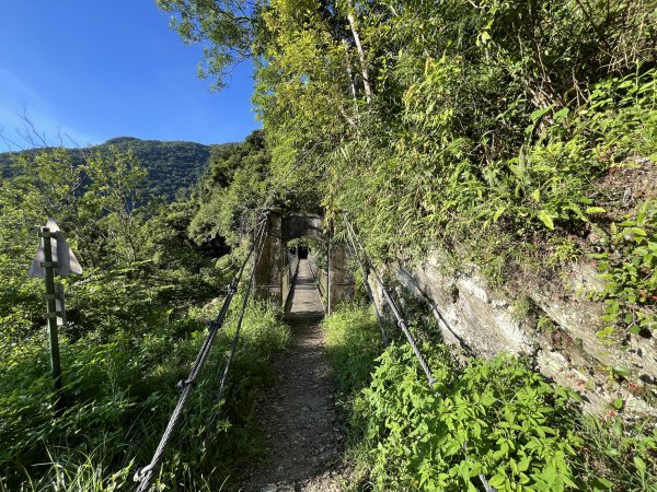 [玉山尋寶任務-03/12] 2025_0810 瓦拉米步道2857447