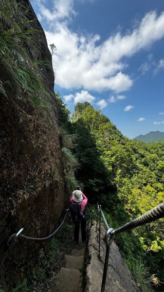 孝子山、普陀山、慈母峰賞鹿子野百合O走2592989