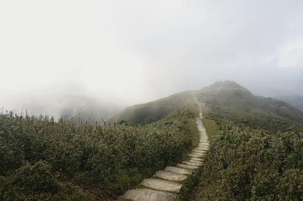 灣坑頭山 桃源谷步道 連走2034843