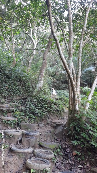 《桃園》一等郊山｜石門山登山步道O繞202401062397574