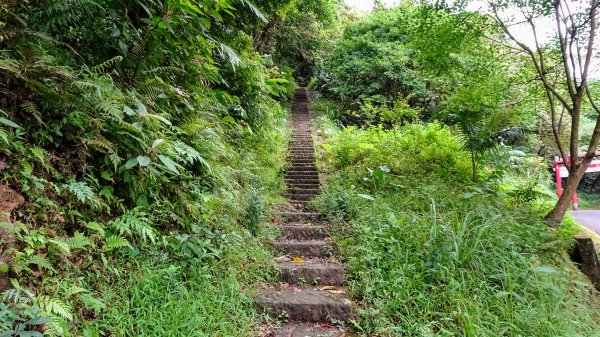 汐止八連路1716762