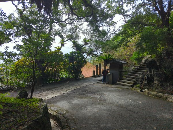 2025.11.29－草嶺古道芒花季2956004