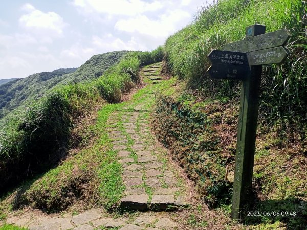 金包里大路(擎天崗至上磺溪停車場段)【走遍陽明山】2174779