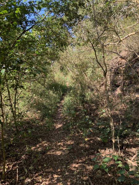 20250301屏東戶亞宇山主峰-基點峰2732974