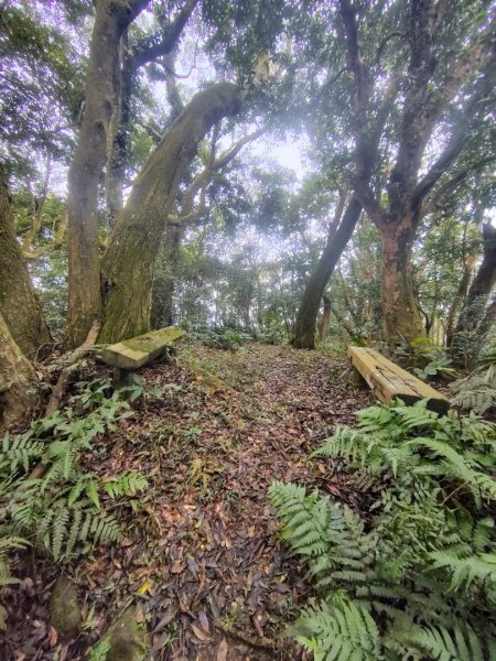 鳳鳴古道 鳳鳴山 南隘勇（南長城）古道 三湖山 八達嶺（龍骨）古道 綠色古道 延平古道2975301