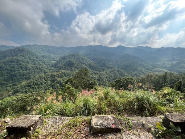 20231102_關西赤柯山（森遊竹縣）2762969