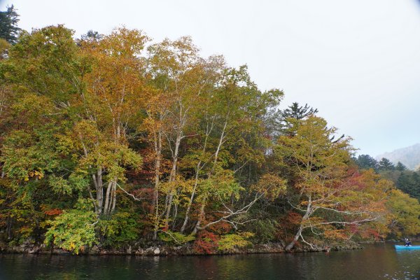 日本 北海道2908548
