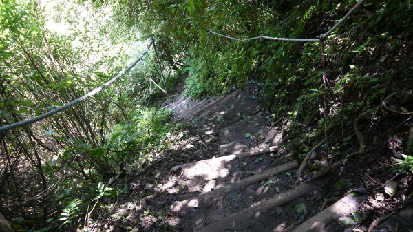 觀音山登山健行趣(小百岳05號)1632411