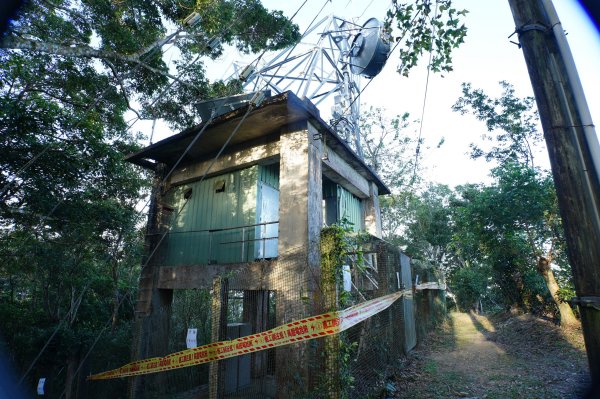 桃園 復興 牌子山、金平山2952202