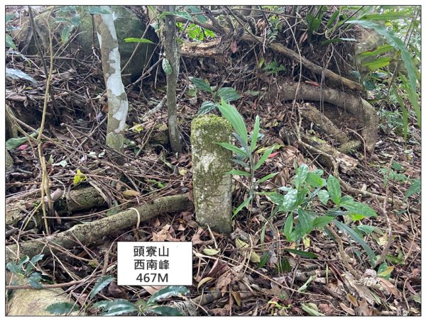 頭寮山、內湳溝山、牛角湳西南峰O型連走2738960