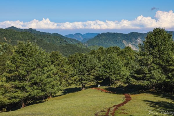 [塔塔加連峰]麟趾山-鹿林山-鹿林前山1797132