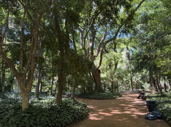 [紐約馬之行-60] 2025_1114 卡洛斯·泰斯植物園-下2954216