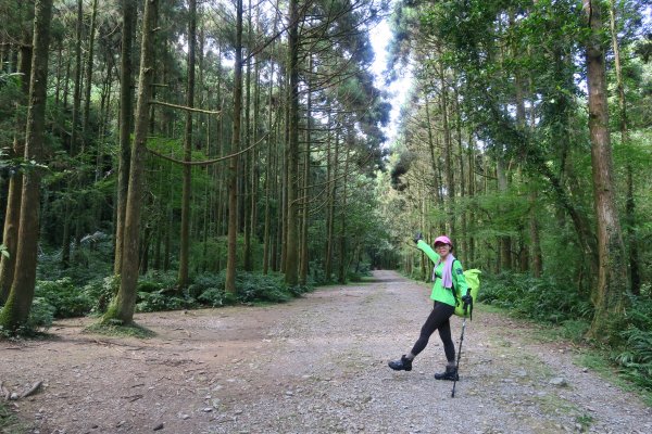 坪溪（溯溪：初階）、太和山、坪溪古道O型清涼行