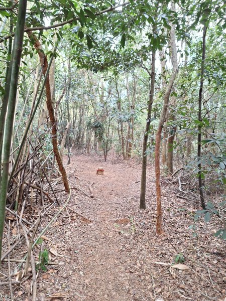 三段崎古道202401222696418