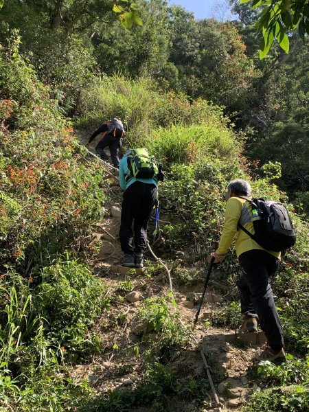 20250322南投松柏坑山-大棚山2745860