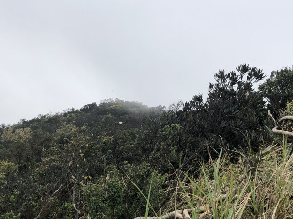 台灣小百岳No.080 里龍山908218