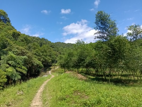 貢寮區文秀坑古道+觀日嶺步道O型2809180